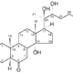 Muscle-Building Compounds